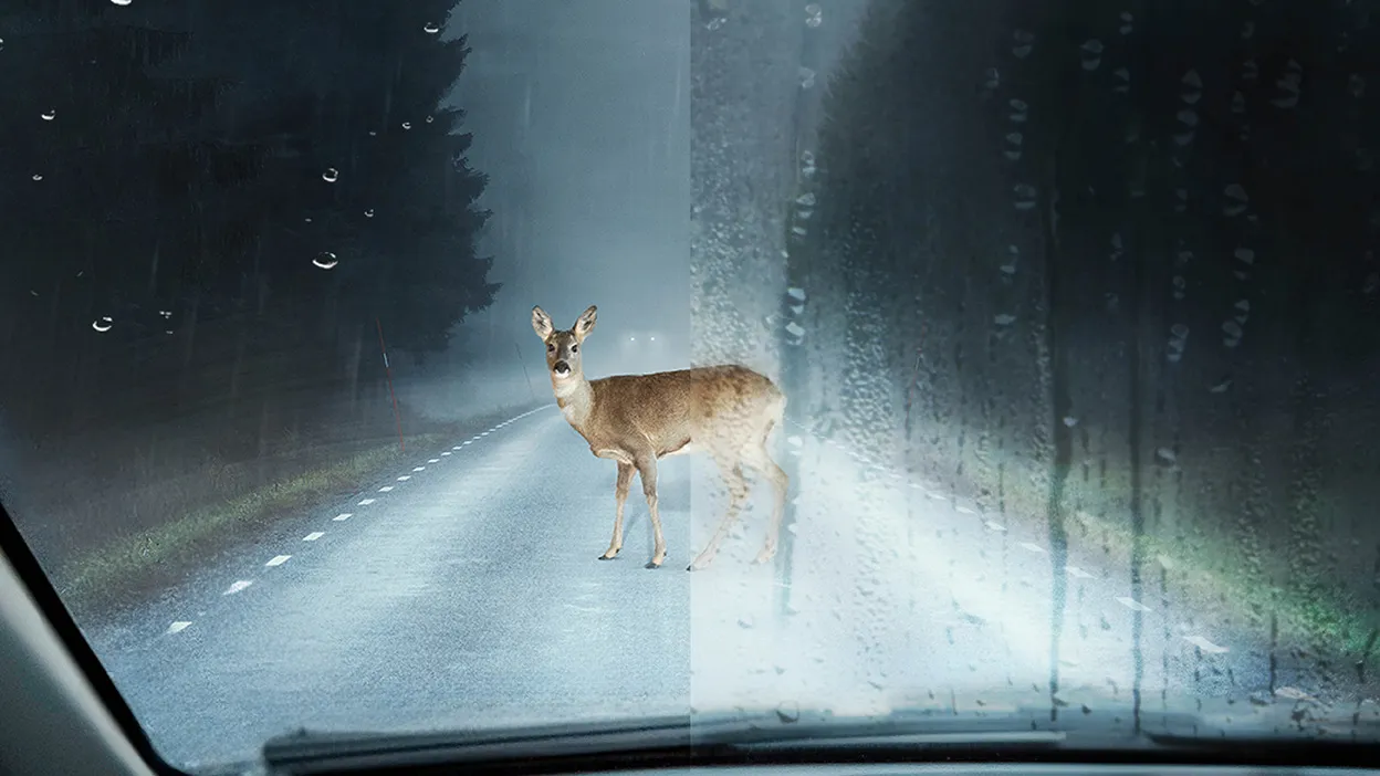 -30% auf Carglass Protect Scheibenversiegelung